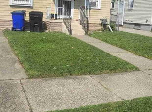 Meadow M.'s lawn care service result