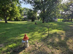 Mike M.'s lawn service service result