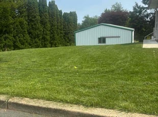 George C.'s lawn service service result