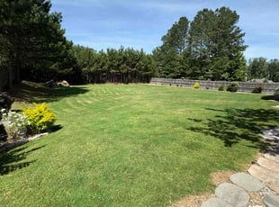 Mike B.'s turf care service result