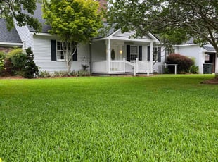 Cindy D.'s grass maintenance service result