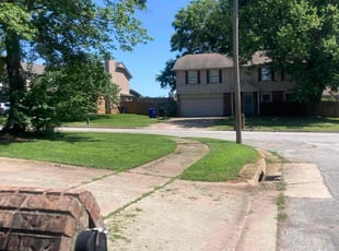 Le D.'s lawn care service result