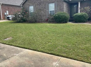 Rodney M.'s lawn care services service result