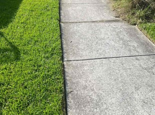Melinda C.'s Bush Trimming service result