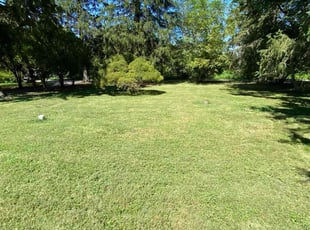 Annette J.'s lawn care service result