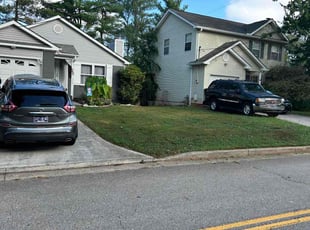 Todd D.'s grass maintenance service result