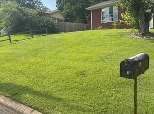 Douglas E.'s gardening service service result