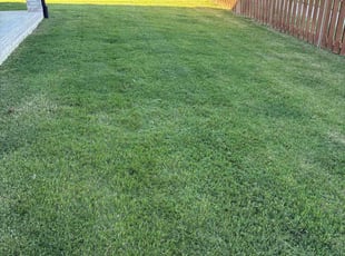 Angela C.'s grass cutting service result