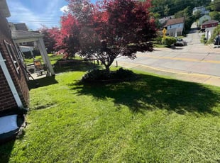 Lady G.'s turf maintenance service result