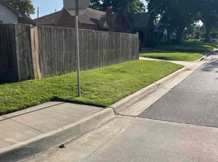 Patricia B.'s lawn service service result
