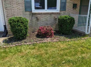 Devonna K.'s Bush Trimming service result