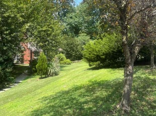 Donna V.'s turf maintenance service result