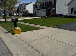 Warren W.'s grass maintenance service result