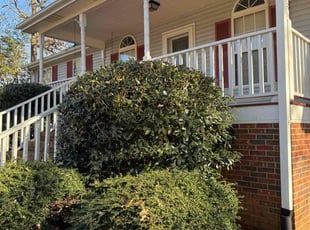 Suma V.'s Bush Trimming service result