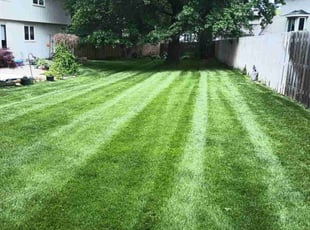 Stephanie E.'s turf maintenance service result