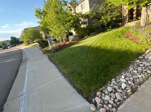 Teresa M.'s grass maintenance service result