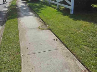Ashley A.'s grass cutting service result