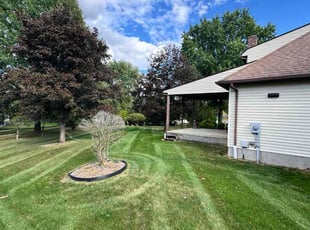 Scott D.'s grass cutting service result