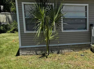 Scott S.'s Bush Trimming service result