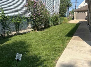 Susan L.'s yard maintenance service result