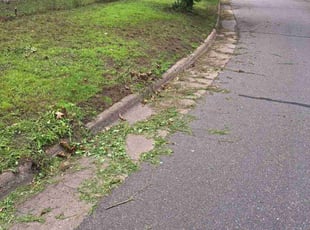 Claire S.'s grass cutting service result