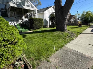 Micayla Y.'s landscaping service result