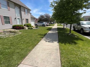 Sharon N.'s lawn maintenance service result