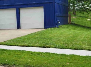 Mansi B.'s turf care service result