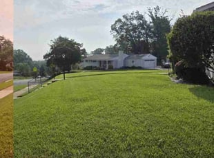 Gloria R.'s turf care service result