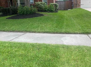 Ramona S.'s turf maintenance service result
