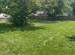 William M.'s lawn care service result