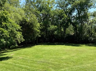Shady E.'s lawn service service result