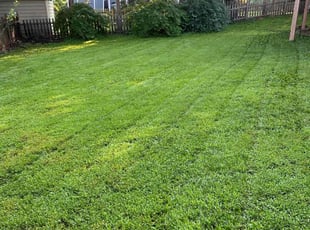 Jon E.'s grass maintenance service result