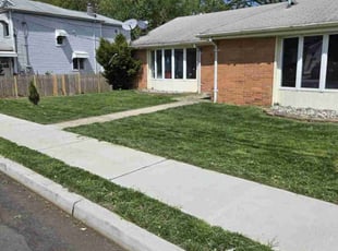 Dennis B.'s grass maintenance service result