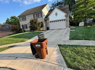 Jack F.'s grass cutting service result