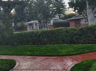 Micah C.'s turf maintenance service result