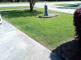 Yurika H.'s lawn service service result