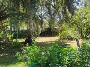 Omar S.'s lawn maintenance service result