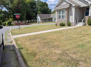 Matthew V.'s grass maintenance service result