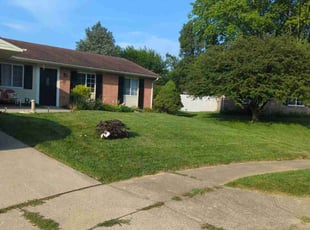 Laura L.'s lawn service service result