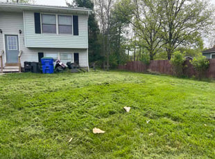 Judelon I.'s Long Grass Cleanup service result