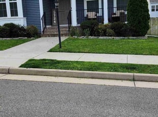 Billy H.'s turf maintenance service result