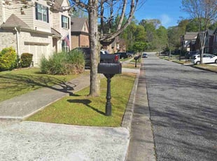 Donnelle G.'s lawn care service result