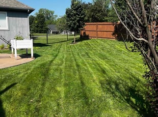 Courtney S.'s lawn service service result