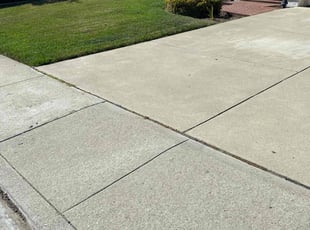 Ernesto F.'s turf care service result