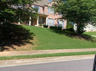 Donna G.'s lawn care services service result