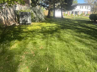 Stephen R.'s grass cutting service result