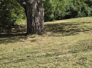 Chris B.'s lawn maintenance service result