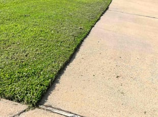 Charles A W.'s turf care service result