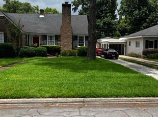 Chase C.'s grass maintenance service result